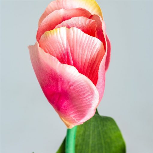 FLOR TULIPAN - Imagen 3