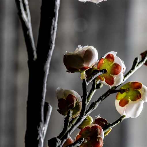 FLOR DEL CIRUELO - Imagen 5